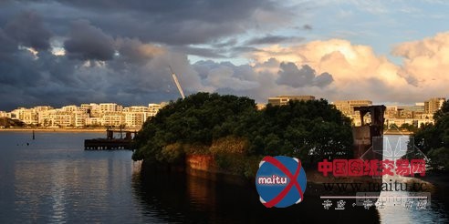 在沉没的煤船上重获新生的飘浮红树林