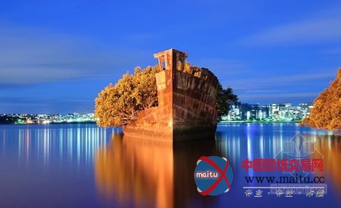 在沉没的煤船上重获新生的飘浮红树林