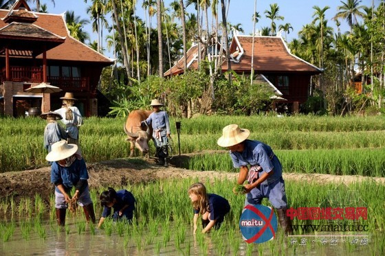 兰那王朝真实地重现的清迈文华东方酒店设计