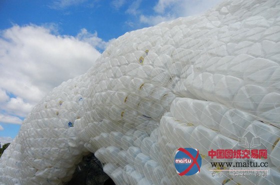 STUDIOKCA用回收塑料瓶制成的巨大“云”展馆