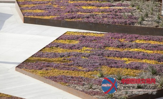 CMG设计的美国加州圣佩德罗太平洋滨海规划