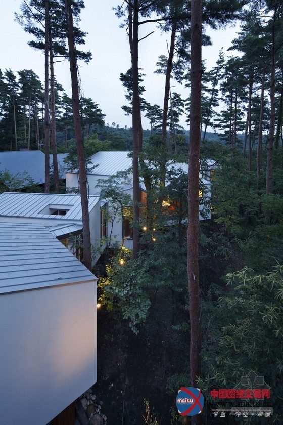 K2事务所设计的日本大山森林住宅