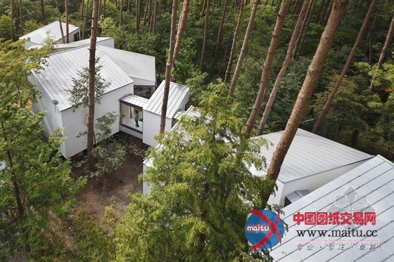 K2事务所设计的日本大山森林住宅