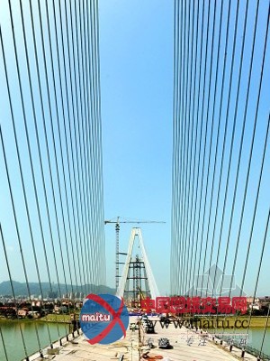 双A型斜拉索桥龙湾大桥成功合龙