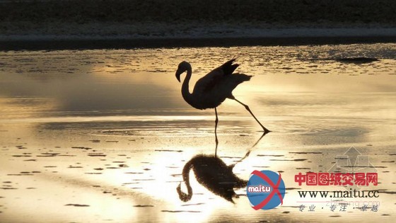 智利原生态的神秘 阿塔卡马AWASI精品酒店设计