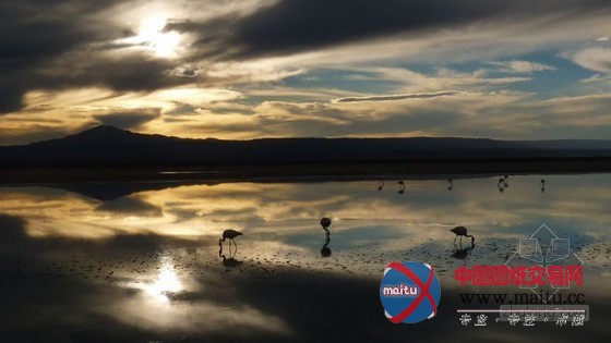 智利原生态的神秘 阿塔卡马AWASI精品酒店设计