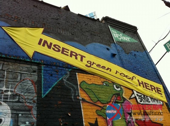 XeroFlor设计的美国新南布朗克斯绿色屋顶