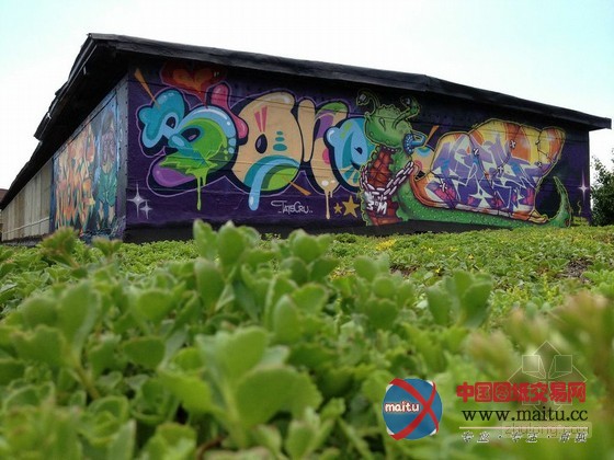 XeroFlor设计的美国新南布朗克斯绿色屋顶