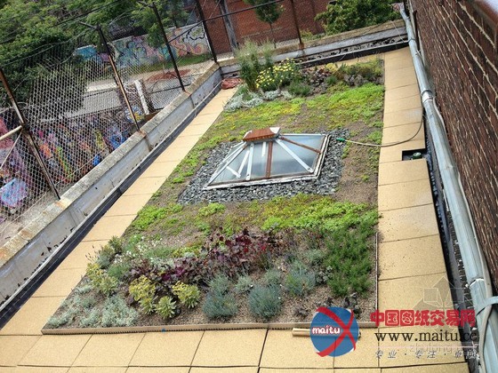 XeroFlor设计的美国新南布朗克斯绿色屋顶