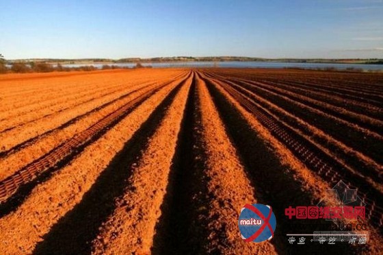 ‘外媒称中国买地致加拿大农地3年涨价45%’是营销噱头