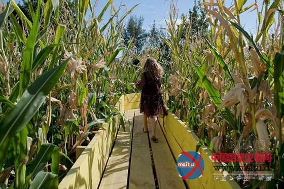 Beals& Lyon设计的智利圣地亚哥乡村小径花园