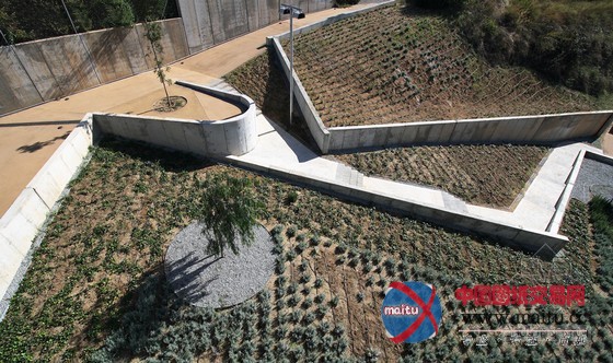 ConxitaBalcells设计的巴塞罗纳坎乔丹娜居民区规划