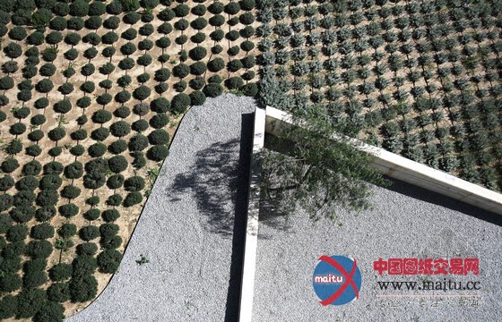 ConxitaBalcells设计的巴塞罗纳坎乔丹娜居民区规划