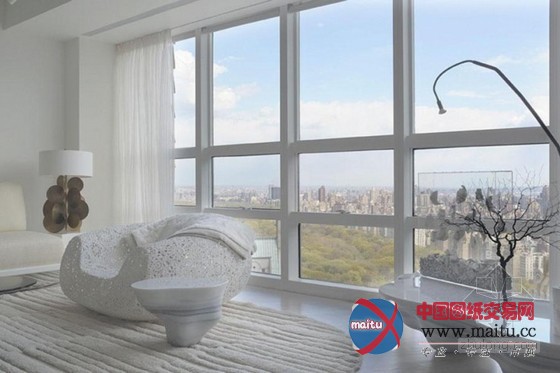 美国俯瞰中央公园的超现代化公寓设计