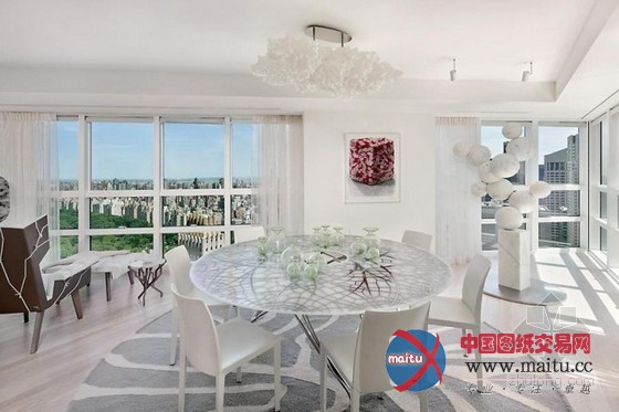 美国俯瞰中央公园的超现代化公寓设计