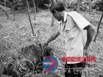 山东枣庄地面塌陷面积超160平方公里