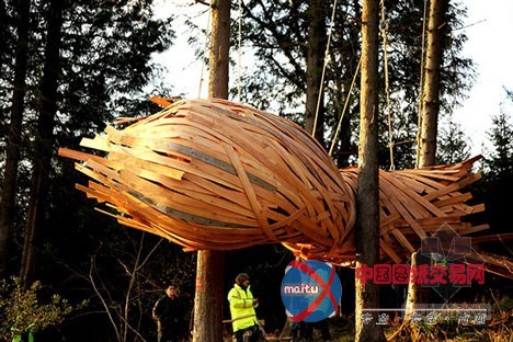 AA建筑联盟学生设计的木结构茧