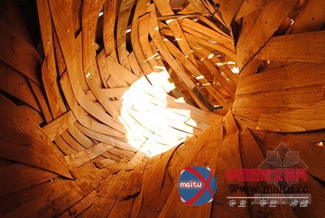 AA建筑联盟学生设计的木结构茧