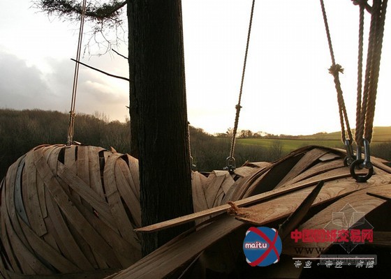 AA建筑联盟学生设计的木结构茧