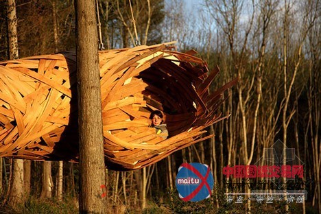 AA建筑联盟学生设计的木结构茧