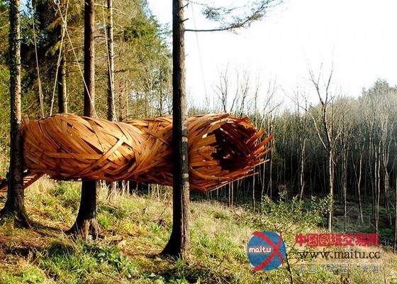 AA建筑联盟学生设计的木结构茧