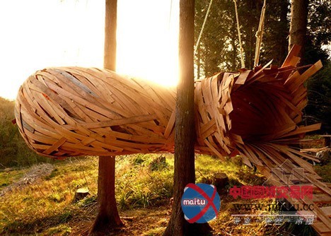 AA建筑联盟学生设计的木结构茧