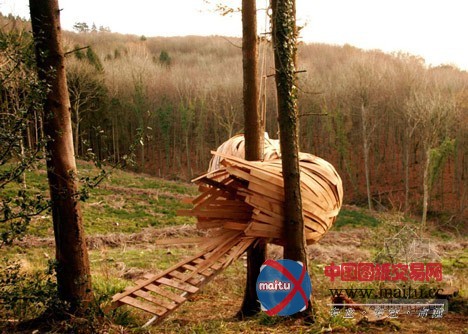 AA建筑联盟学生设计的木结构茧