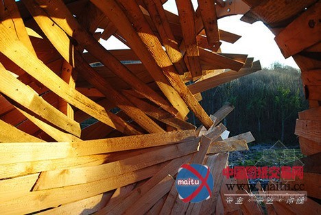 AA建筑联盟学生设计的木结构茧