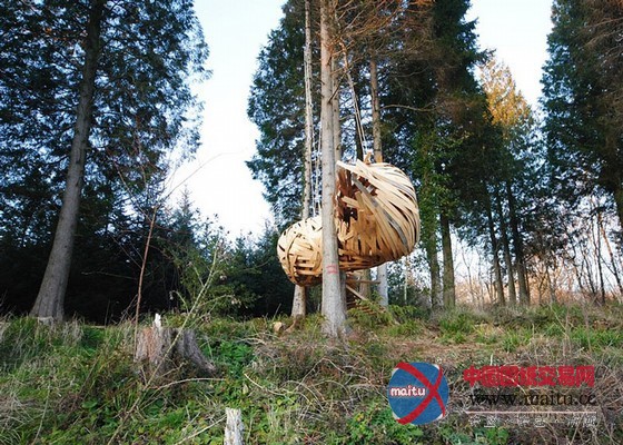 AA建筑联盟学生设计的木结构茧