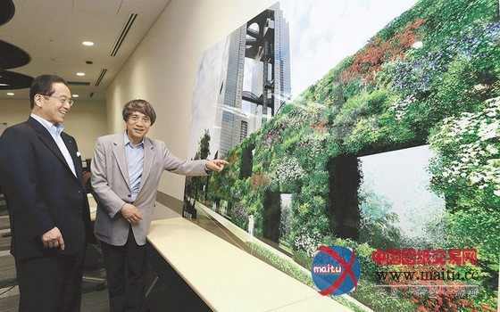 安藤忠雄的日本希望绿墙提案引发巨大争议