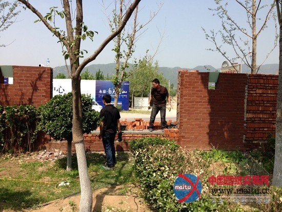 香山违建拆除:十张整改书难抵一条狗