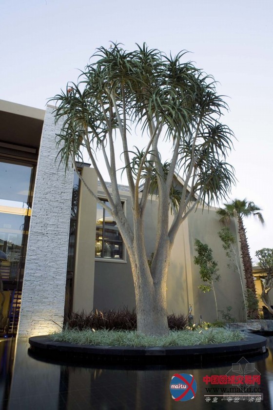 开普敦ONEONLY度假酒店 充满非洲格调海岛设计