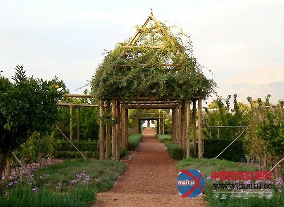 南非开普敦农场酒店的奇妙花园