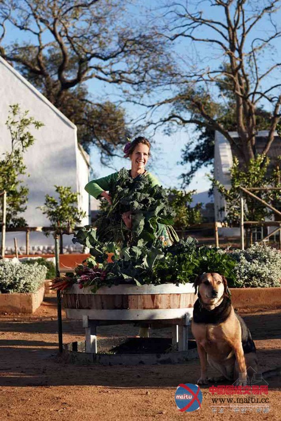 南非开普敦农场酒店的奇妙花园