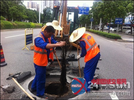 凯斯590SN井盖铣刨机在广州珠海顺利交机