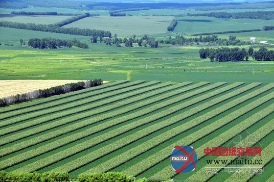 2013中国避暑旅游城市排名榜