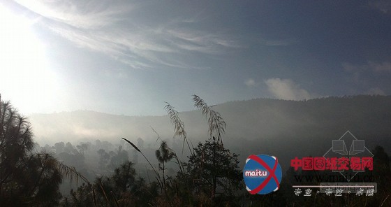 2013中国避暑旅游城市排名榜