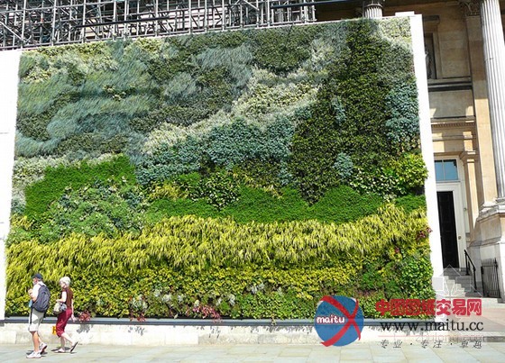 古巴比伦的空中花园垂直植生墙之旅