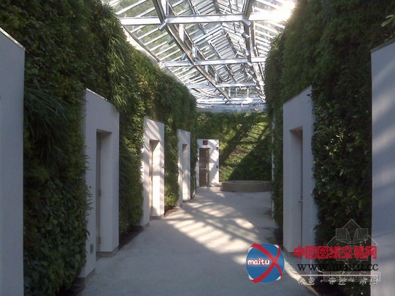 古巴比伦的空中花园垂直植生墙之旅