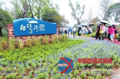 锦江“白鹭湾湿地”主题签名活动千人参与