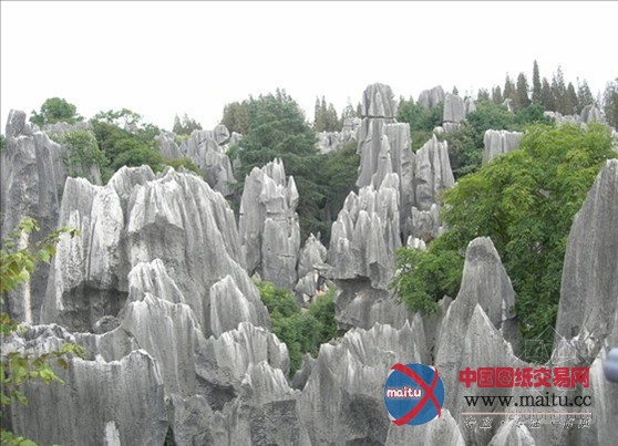 上栗孽龙洞大型石林景观