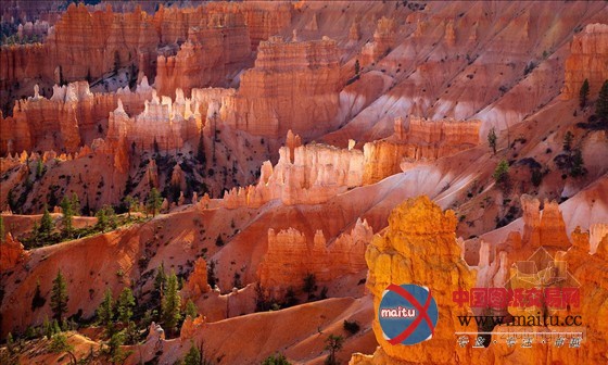 上栗孽龙洞大型石林景观