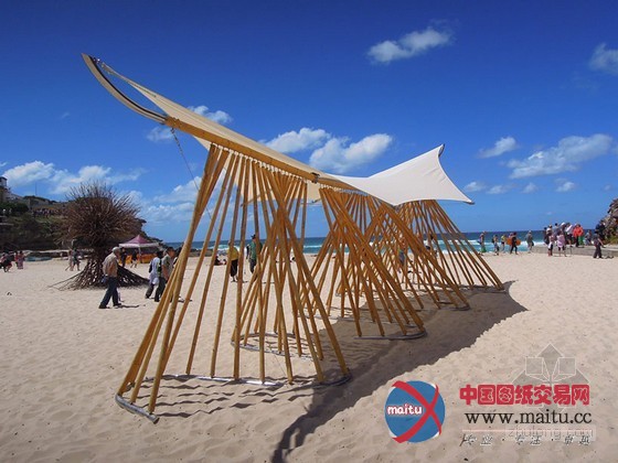 Mark Emery设计的澳大利亚海滩凉亭bamboo waves