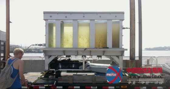 archie等设计的纽约水上漂浮过滤设施+pool