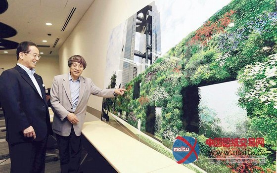 安藤忠雄希望绿墙提案因版权问题被叫停