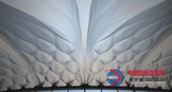 扎哈•哈迪德的迈阿密第一摩天楼“1000博物馆”细节介绍