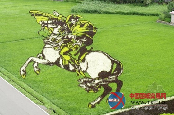日本田舍馆村村民设计的巨型稻田插画艺术
