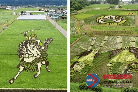 日本田舍馆村村民设计的巨型稻田插画艺术