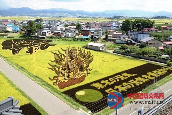日本田舍馆村村民设计的巨型稻田插画艺术