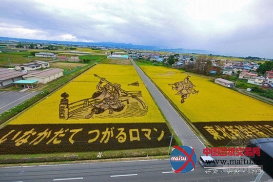日本田舍馆村村民设计的巨型稻田插画艺术